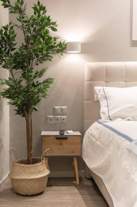 A11 Pristine & Comfy Studio Near Plaka & Parthenon アテネ エクステリア 写真