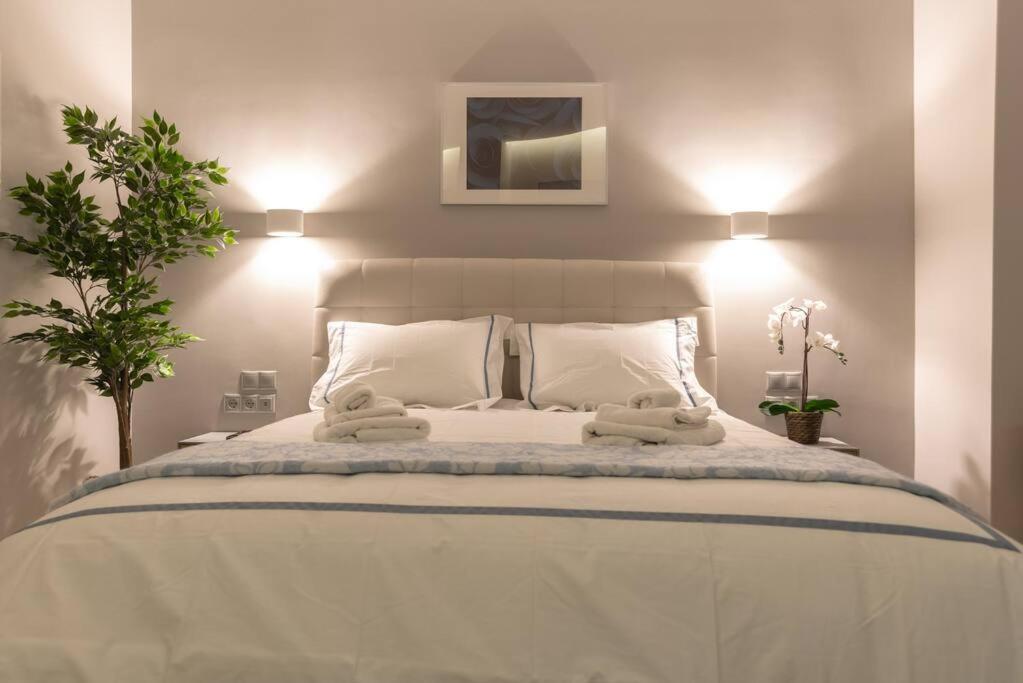 A11 Pristine & Comfy Studio Near Plaka & Parthenon アテネ エクステリア 写真